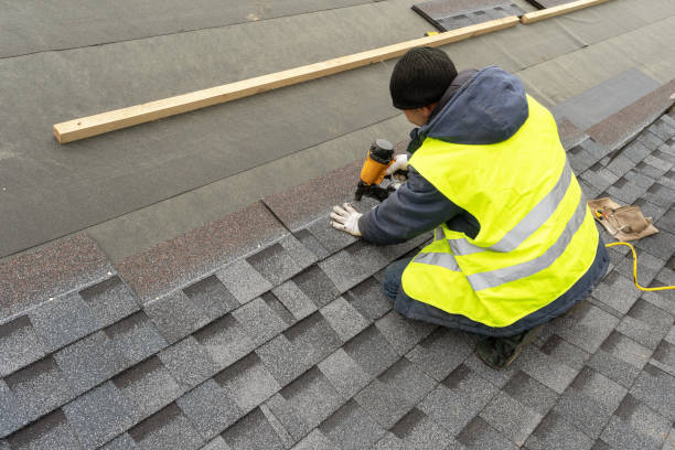 Best Roof Maintenance and Cleaning  in Ellitt, CO