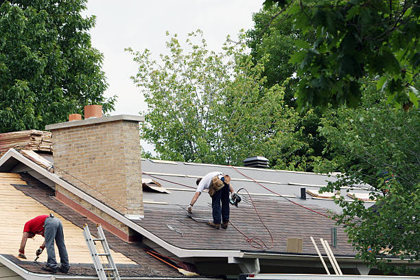 Best Roof Moss and Algae Removal  in Ellitt, CO