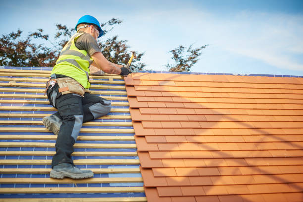 Best Gutter Installation and Repair  in Ellitt, CO