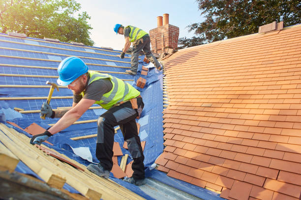 Best Metal Roofing Installation  in Ellitt, CO